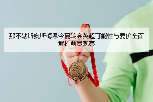 那不勒斯奥斯梅恩今夏转会英超可能性与要价全面解析前景观察